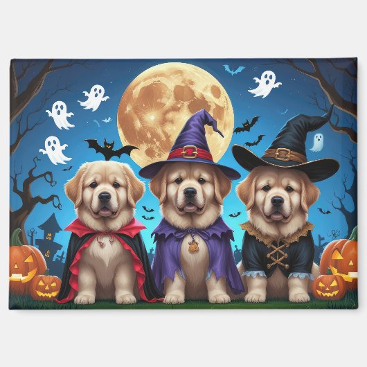 Newfoundland Honden Pompoen Halloween Grappig Magneet (Voorkant)