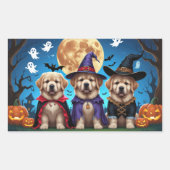 Newfoundland Honden Pompoen Halloween Grappig Rechthoekige Sticker (Voorkant)