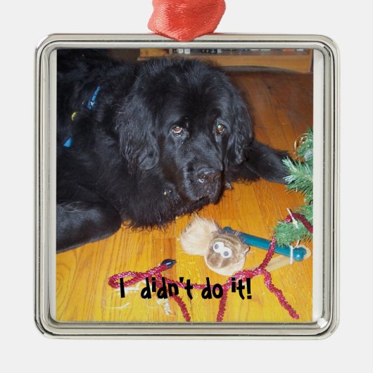 Newfoundland hondenboom metalen ornament (Voorkant)