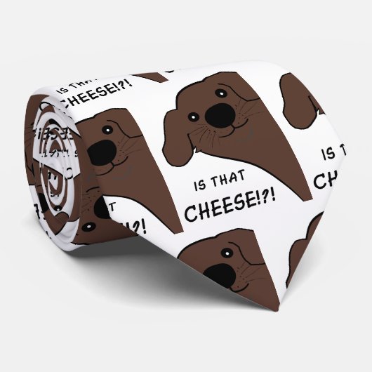 Newfoundland Hondenbruin Is Dat Kaas Stropdas (Opgerold)