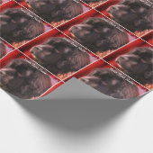 Newfoundland Hondengezicht gepersonaliseerd Cadeaupapier (Hoek)