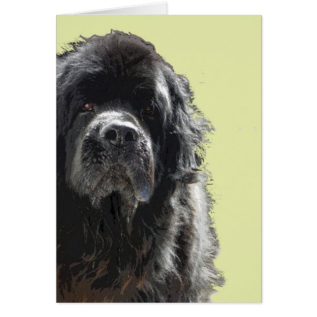 Newfoundland-hondenkaart (Voorkant)