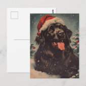 Newfoundland hondenkerst briefkaart (Voorkant / Achterkant)