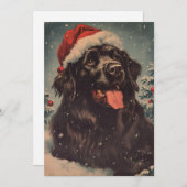 Newfoundland hondenkerst feestdagenkaart (Voorkant / Achterkant)
