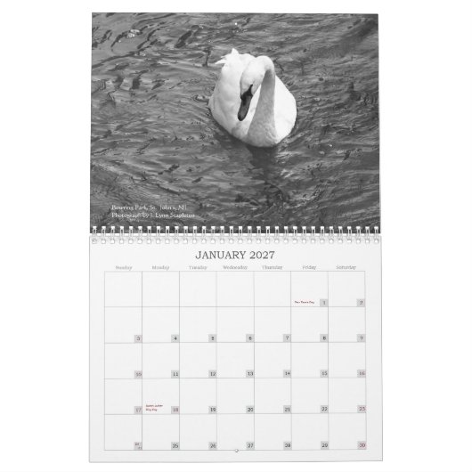 Newfoundland in Afbeelding: A Agenda 2013 Kalender (Jan 2027)