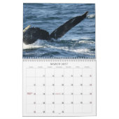 Newfoundland in Afbeelding: A Agenda 2013 Kalender (Mar 2027)