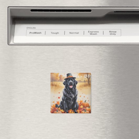 Newfoundland in Autumn verlaat Thanksgiving Magneet (Insitu (Vaatwasser))