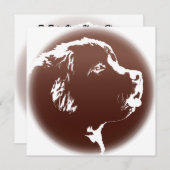 Newfoundland Invitalized Dog Kaart (Voorkant / Achterkant)
