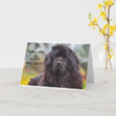 Newfoundland is een beetje een grappenmaker op ver kaart (Gele Bloem)