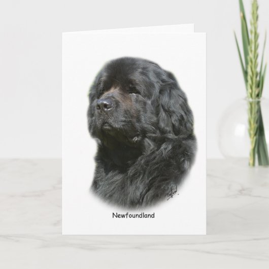 Newfoundland Kaart (Voorkant)