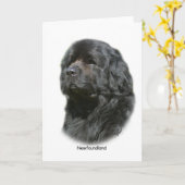 Newfoundland Kaart (Gele Bloem)