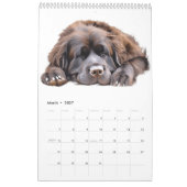 Newfoundland Kalender 2025 (Mar 2027)