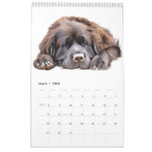 Newfoundland Kalender 2025 (Mar 2026)