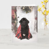 Newfoundland Kerst Kaart (Gele Bloem)