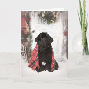 Newfoundland Kerst Kaart