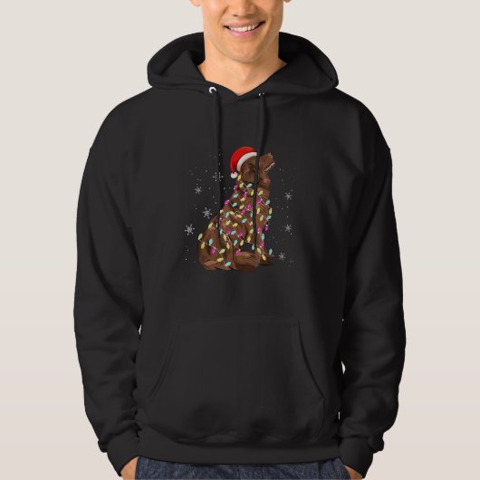 Newfoundland Kerstlicht | Funny Dog Lover Hoodie (Voorkant)