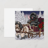 Newfoundland Kerstman slee  Feestdagenkaart (Voorkant / Achterkant)