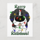 Newfoundland kerstverlichting feestdagenkaart (Voorkant)