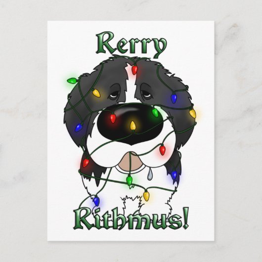 Newfoundland kerstverlichting feestdagenkaart (Voorkant)