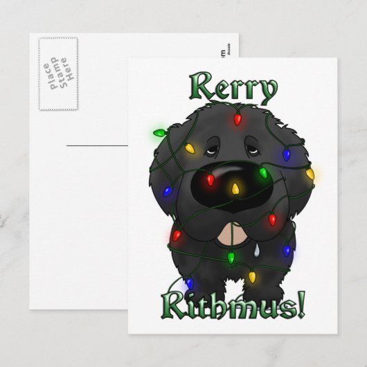 Newfoundland kerstverlichting feestdagenkaart (Voorkant / Achterkant)