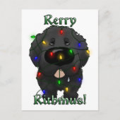 Newfoundland kerstverlichting feestdagenkaart (Voorkant)