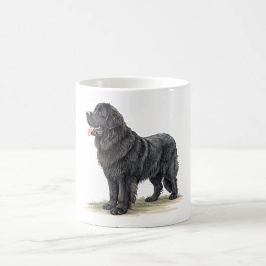 Newfoundland Koffiemok (Center)