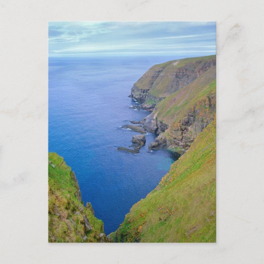 Newfoundland-kustlijn Briefkaart (Voorkant)