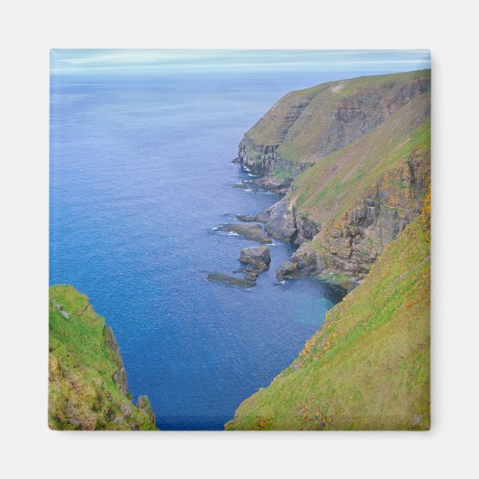 Newfoundland-kustlijn Magneet (Voorkant)