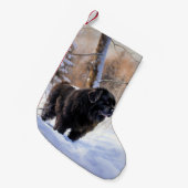 Newfoundland laat het sneeuwen Kerstmis Kleine Kerstsok (Voorkant (Hangend))