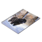 Newfoundland laat het sneeuwen Kerstmis Notitieboek (Linkerzijde)