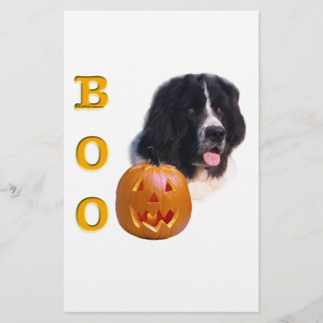 Newfoundland Landseer Halloween Boo (Voorkant)