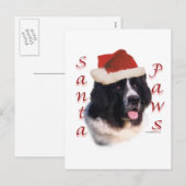Newfoundland (landseer) Santa Paws Feestdagenkaart (Voorkant / Achterkant)