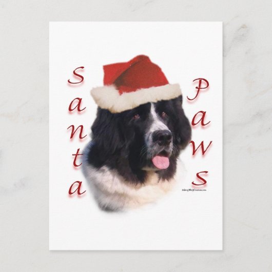 Newfoundland (landseer) Santa Paws Feestdagenkaart (Voorkant)