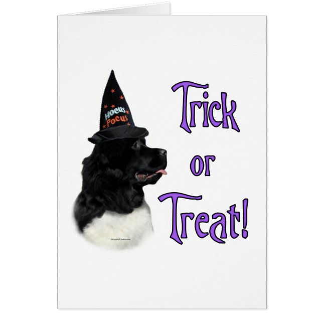 Newfoundland (landseer) Trick (Voorkant)