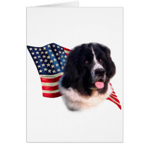 Newfoundland (landseer) Vlag
