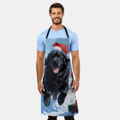 Newfoundland loopt in de sneeuw met kerst Pet Schort (Gedragen)