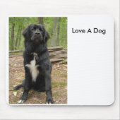 Newfoundland, Love A Dog Muismat (Voorkant)