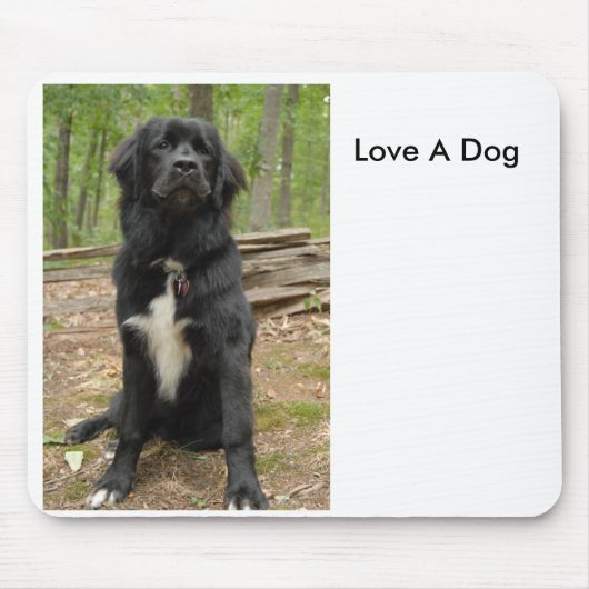 Newfoundland, Love A Dog Muismat (Voorkant)