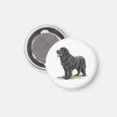 Newfoundland Magneet (Voorkant / Achterkant)