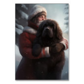 Newfoundland met Sinterklaas Feestelijke Kerstmis Kaart (Achterkant)