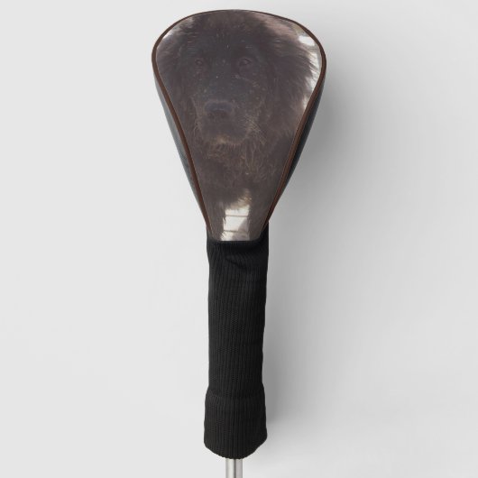 Newfoundland Modderige Pup Golfheadcover (Voorkant)