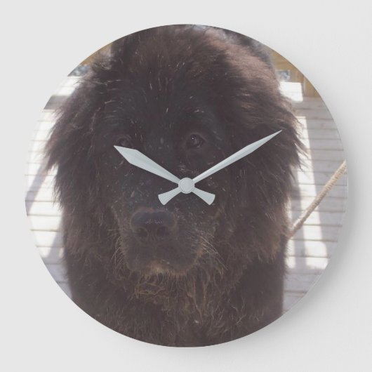 Newfoundland Modderige Pup Grote Klok (Voorkant)