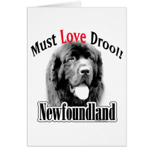 Newfoundland moet houden van kwijlen
