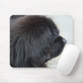 Newfoundland Muismat (Met muis)