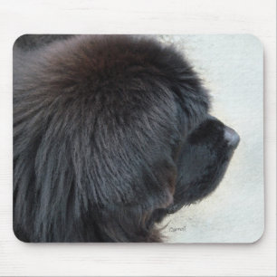 Newfoundland Muismat