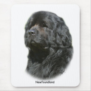Newfoundland Muismat