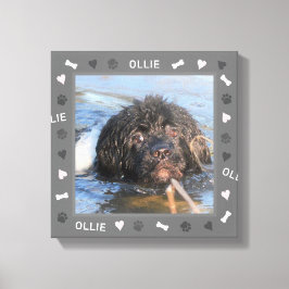 Newfoundland Newfie Foto en Naam Canvas Afdruk