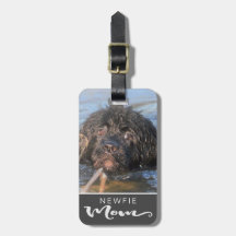 Newfoundland Newfie Mom Dog's Foto