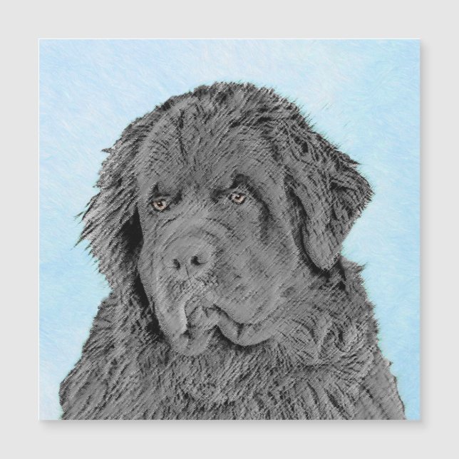 Newfoundland Painting - Cute Original Dog Art (Voorkant)