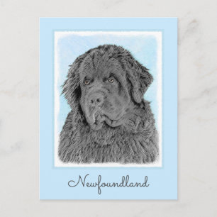 Newfoundland Painting - Cute Original Dog Art Briefkaart